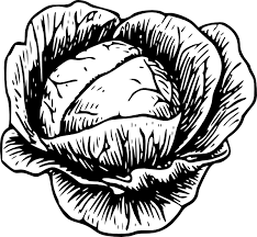 Sauerkraut Making Workshop