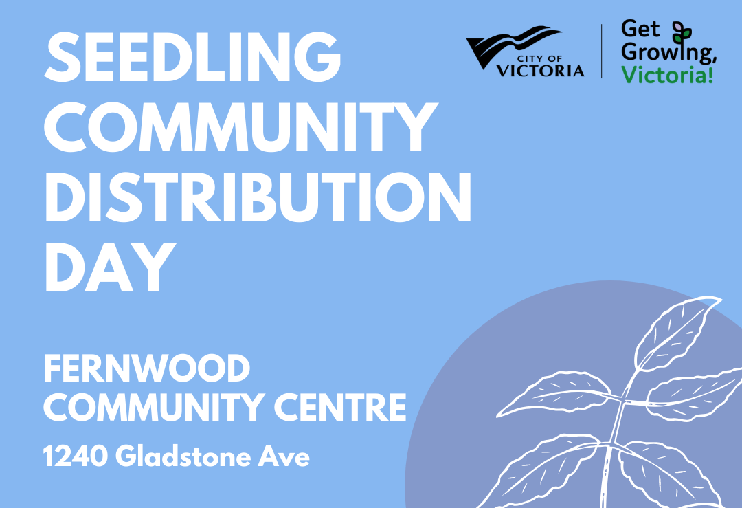 Seedling Distribution Day