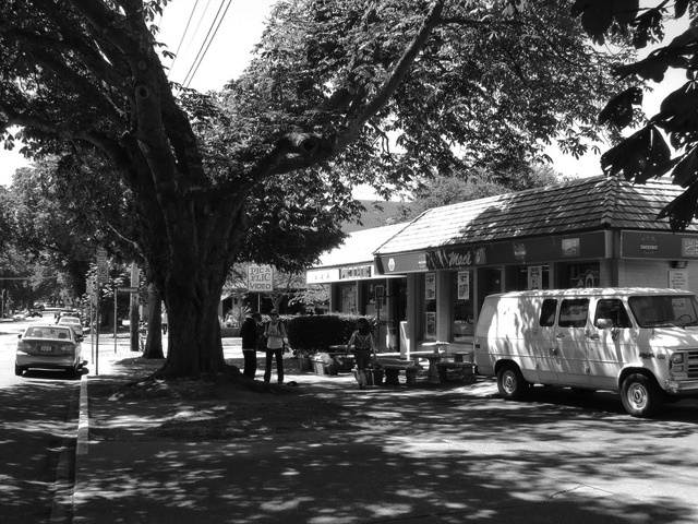 Trees are nature’s air conditioners