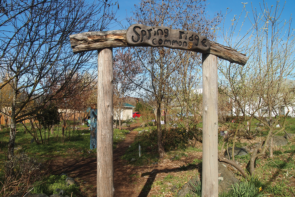 W(h)ither Spring Ridge Common(s)?