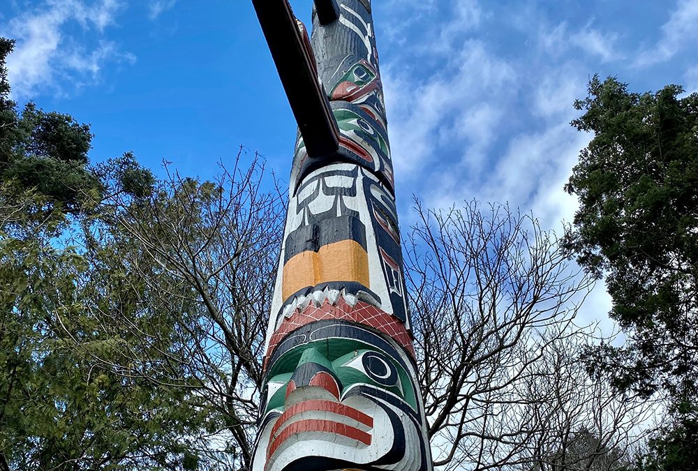 Indigenous Voices: Understanding ­diversity within ­Indigenous identities