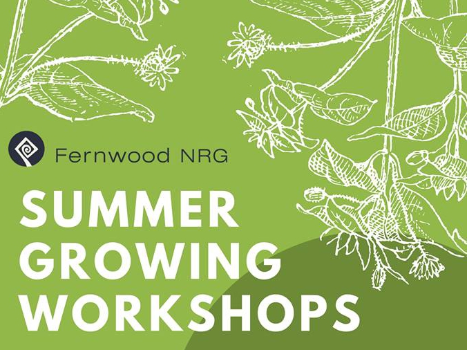 Food Growing Workshops in Fernwood