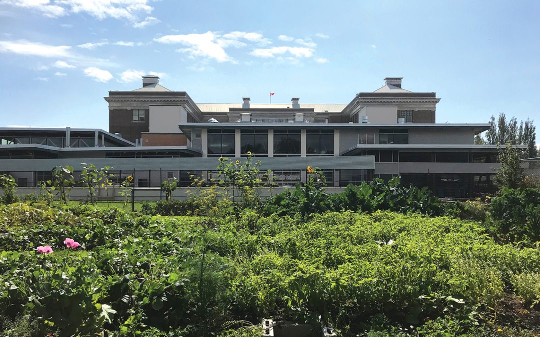 Update: Vic High Learning Farm year one