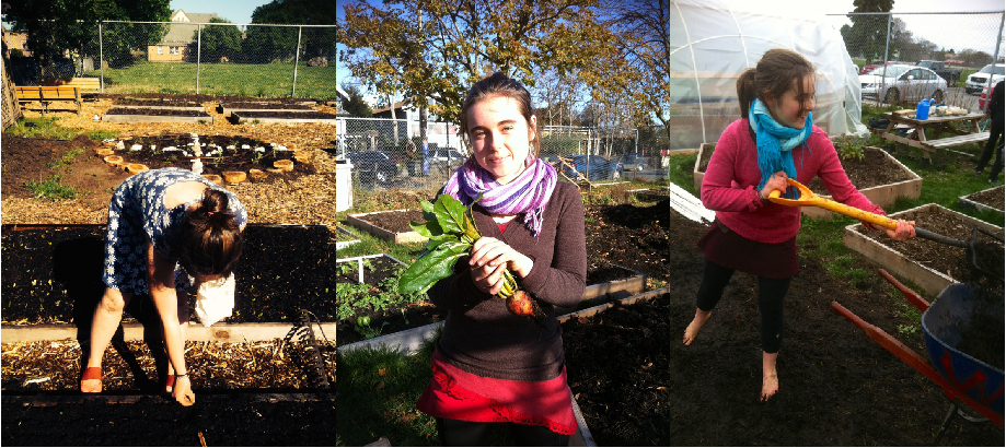 Vic High Garden Fernwood NRG Victoria 2017