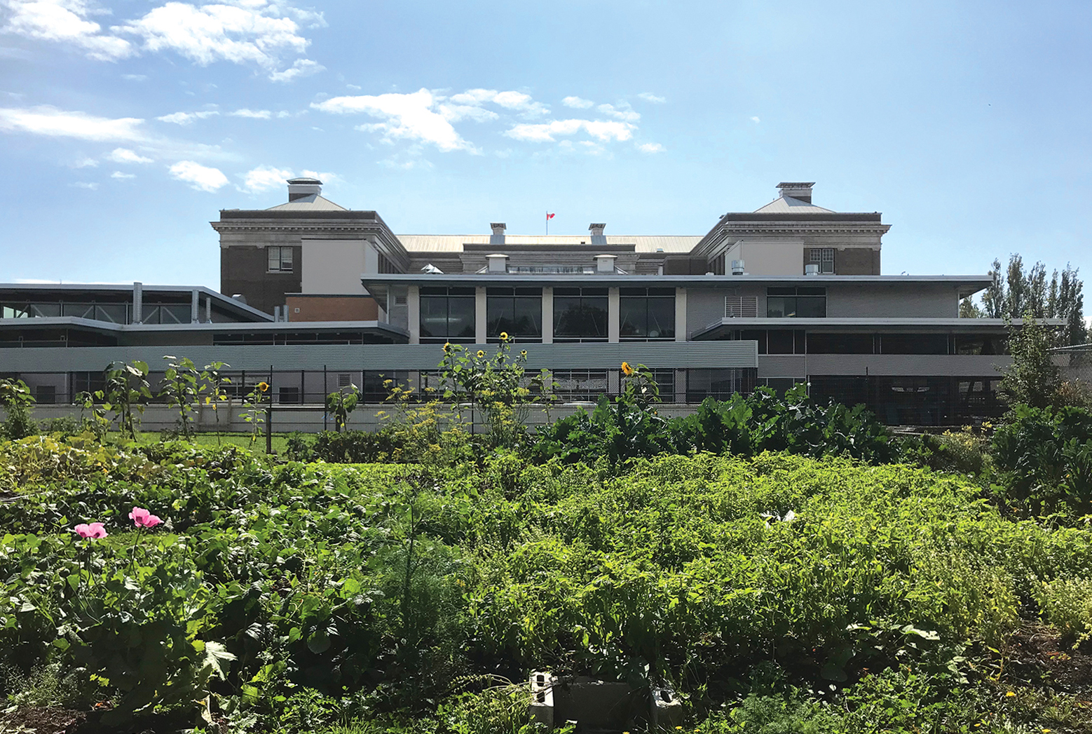 Vic High Learning Farm