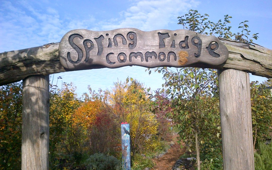 Spring Ridge Common—the next chapter