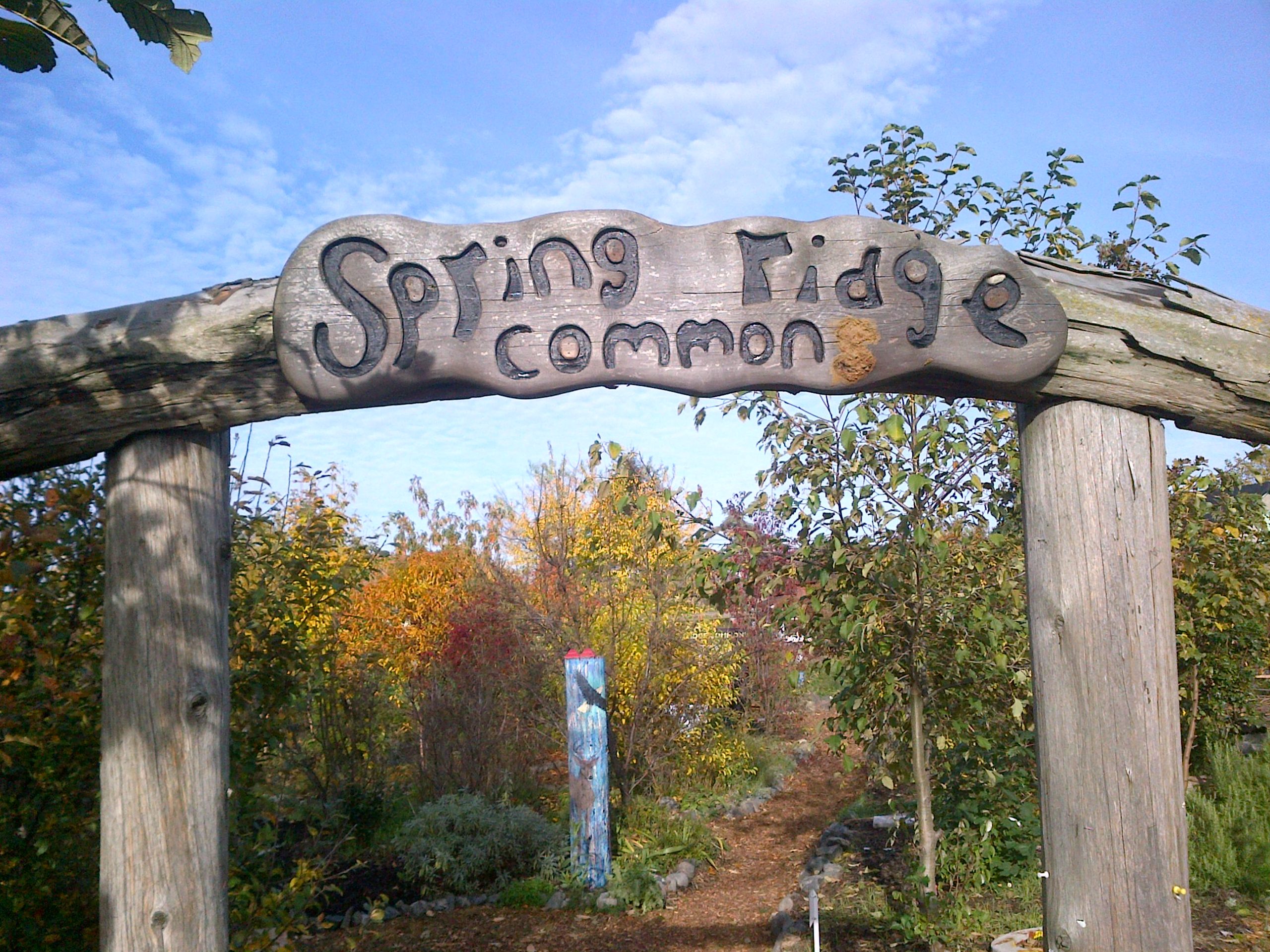 Spring Ridge Commons