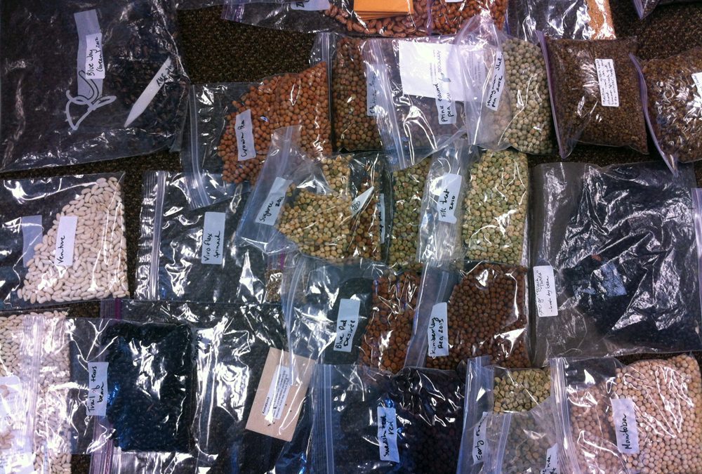 Library saves and shares seed for the future