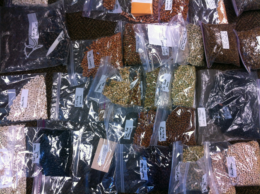 Victoria-Seed-Library-Fernwood-NRG-Victoria-1000px