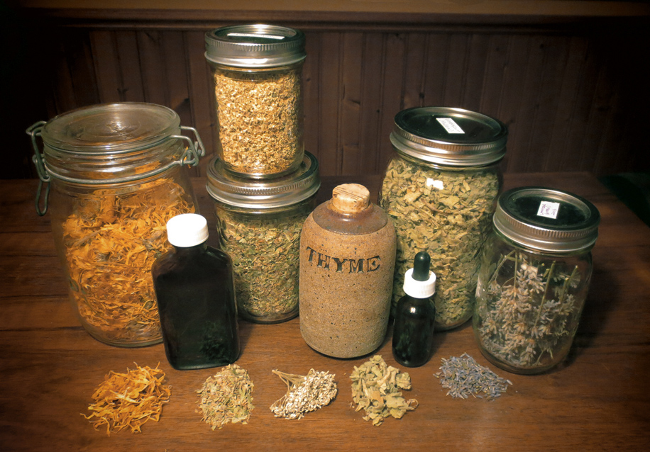 Herbal Healthcare in our Community